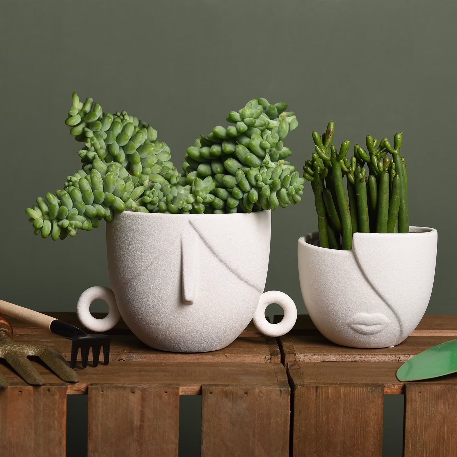 Ceramic Succulent Planter Pots for Indoor Plants with Drainage Holes, Herb Garden Head Planters Set of 2,White 5.4"W